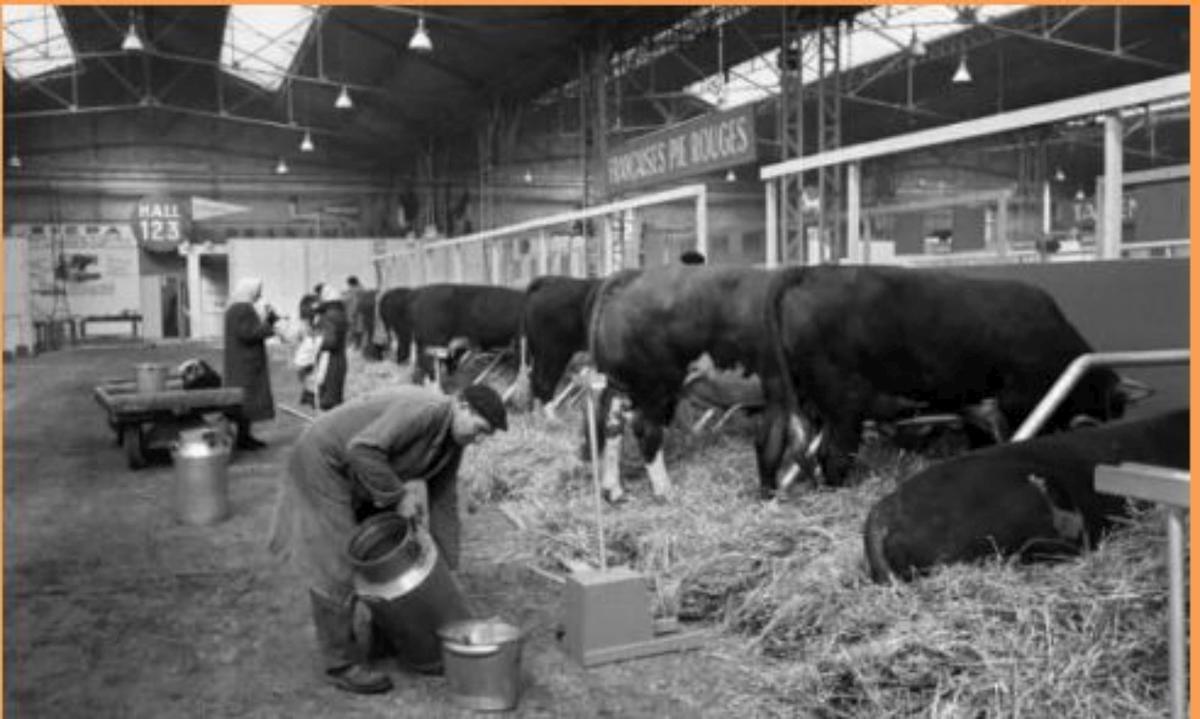 salon agriculture 1964